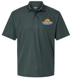 Johnson Lake Chamber Polo